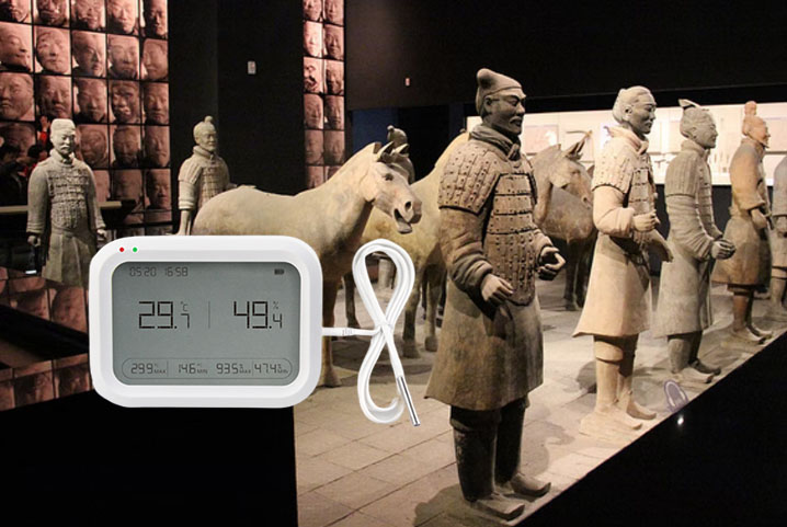 COEUS-UEX Ultra Low Temperature and Humidity Data Logger Helps Cultural Relics P