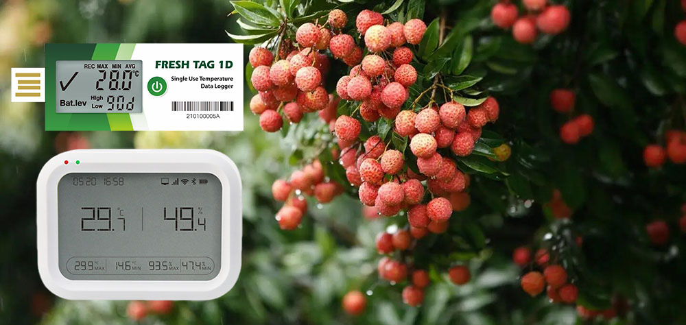 Temperature and Humidity Data Loggers for Transportation and Storage of Lychee