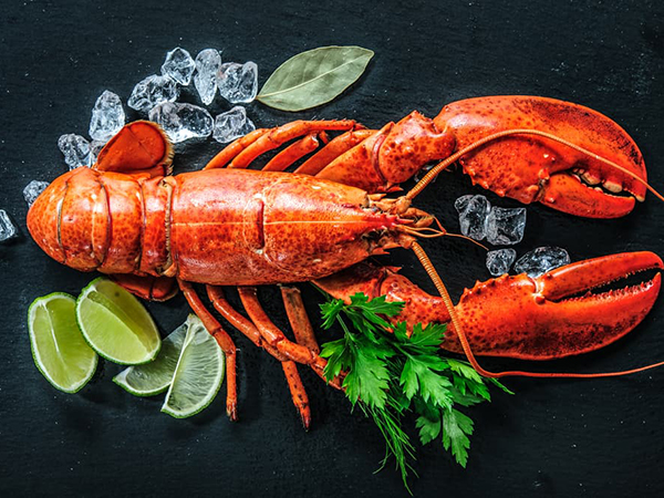 Lobster Transport from Fishermen to Restaurants