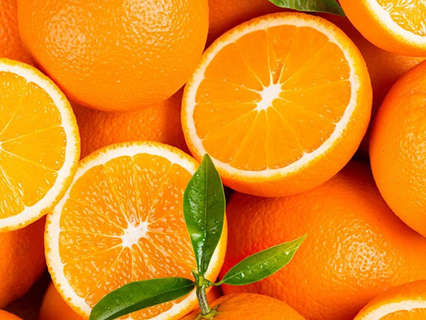 How to Maintain the Proper Temperature for Oranges Shipping