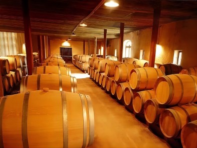 The importance of temperature monitoring for winemaking