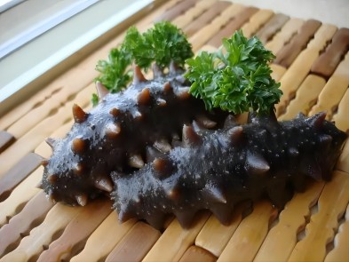 Questions about transportation and storage of sea cucumbers Seafood Multi-use te