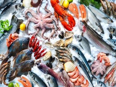 Maintaining cold chain transportation of seafood Single use temperature data log