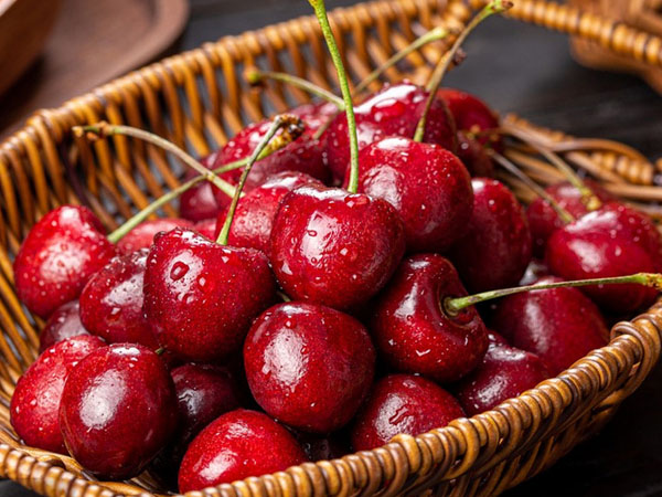 Temperature Monitoring during the Transport of Cherries