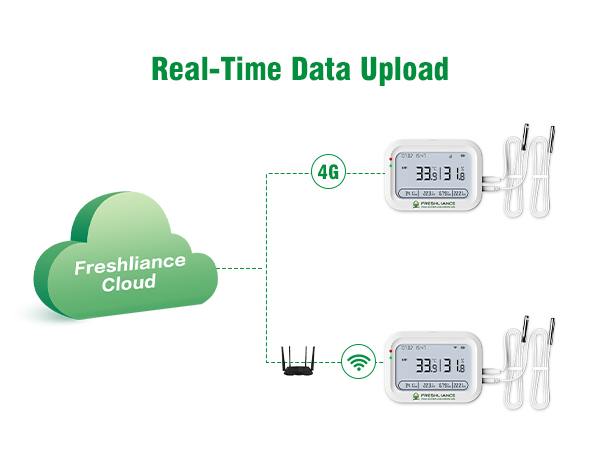 coeus6.jpg coeus6.jpg